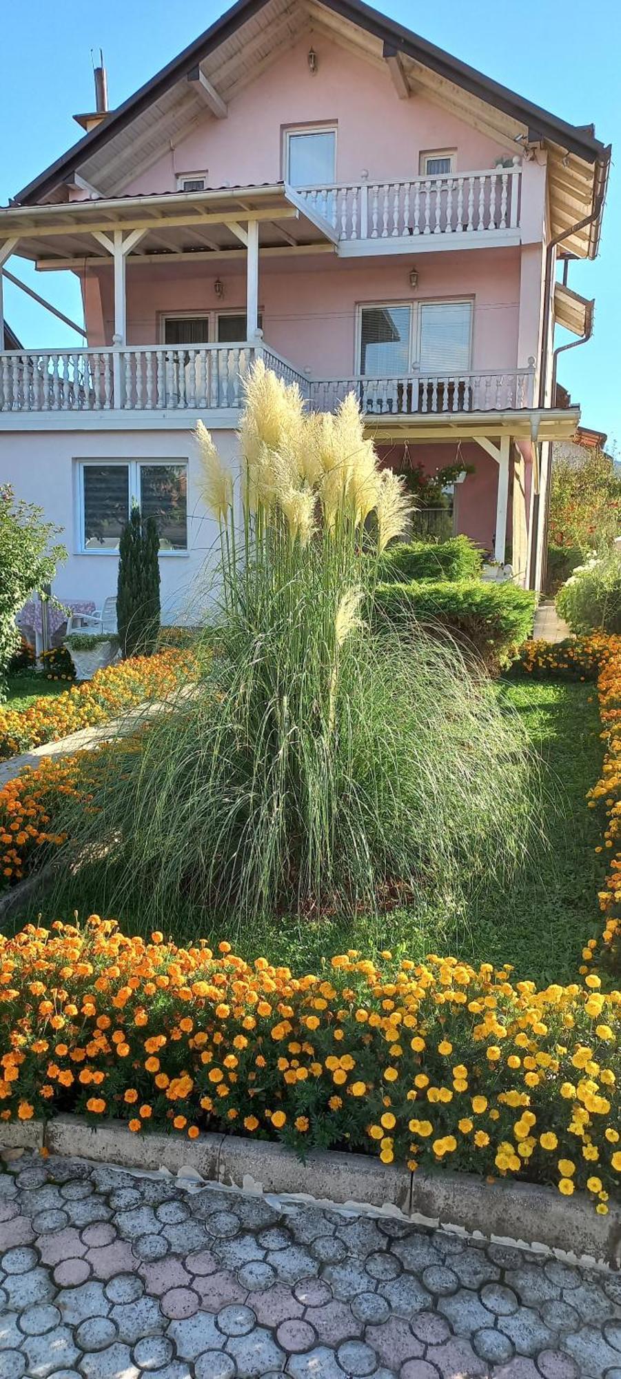Holiday Home Peaceful Retreat 维索科 外观 照片