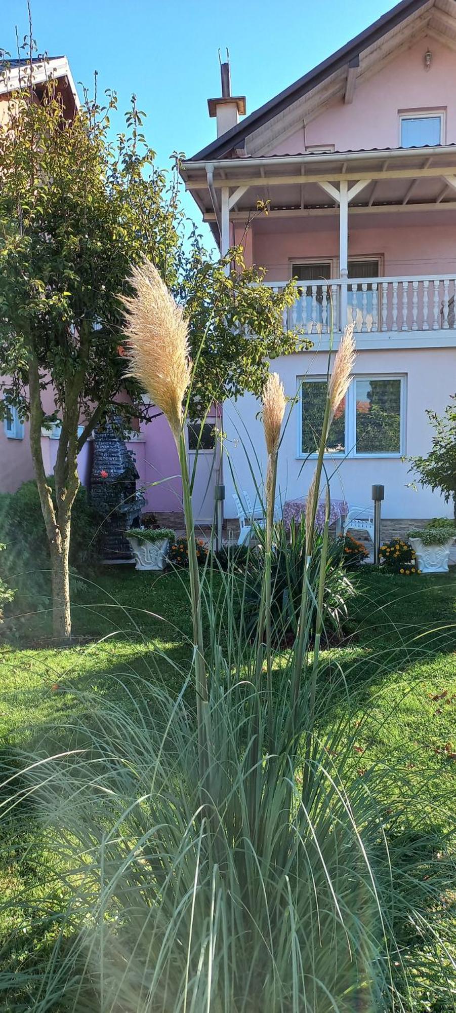 Holiday Home Peaceful Retreat 维索科 外观 照片