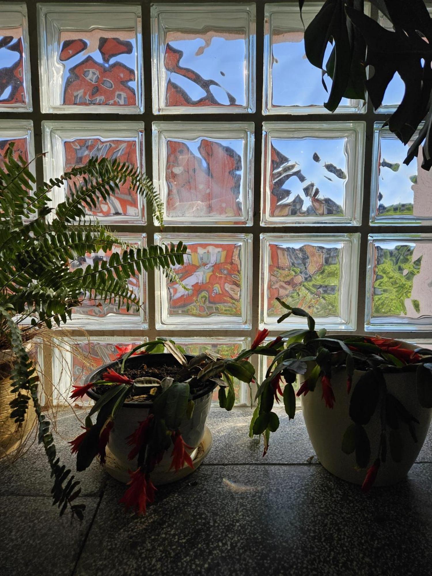 Holiday Home Peaceful Retreat 维索科 外观 照片
